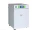 AC220V 50HZ Carbon Dioxide Incubator Internal Material SUS316 Stainless Steel